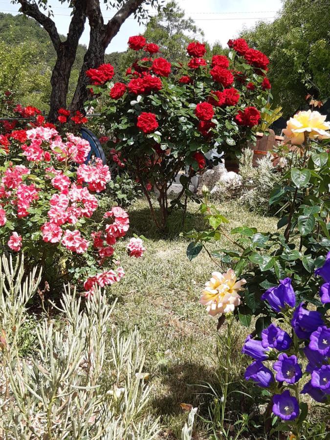 Il Girasole Bed & Breakfast Castelvecchio Calvisio Exterior photo