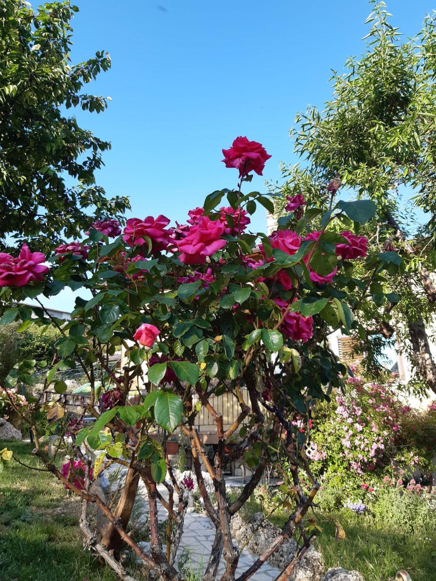 Il Girasole Bed & Breakfast Castelvecchio Calvisio Exterior photo