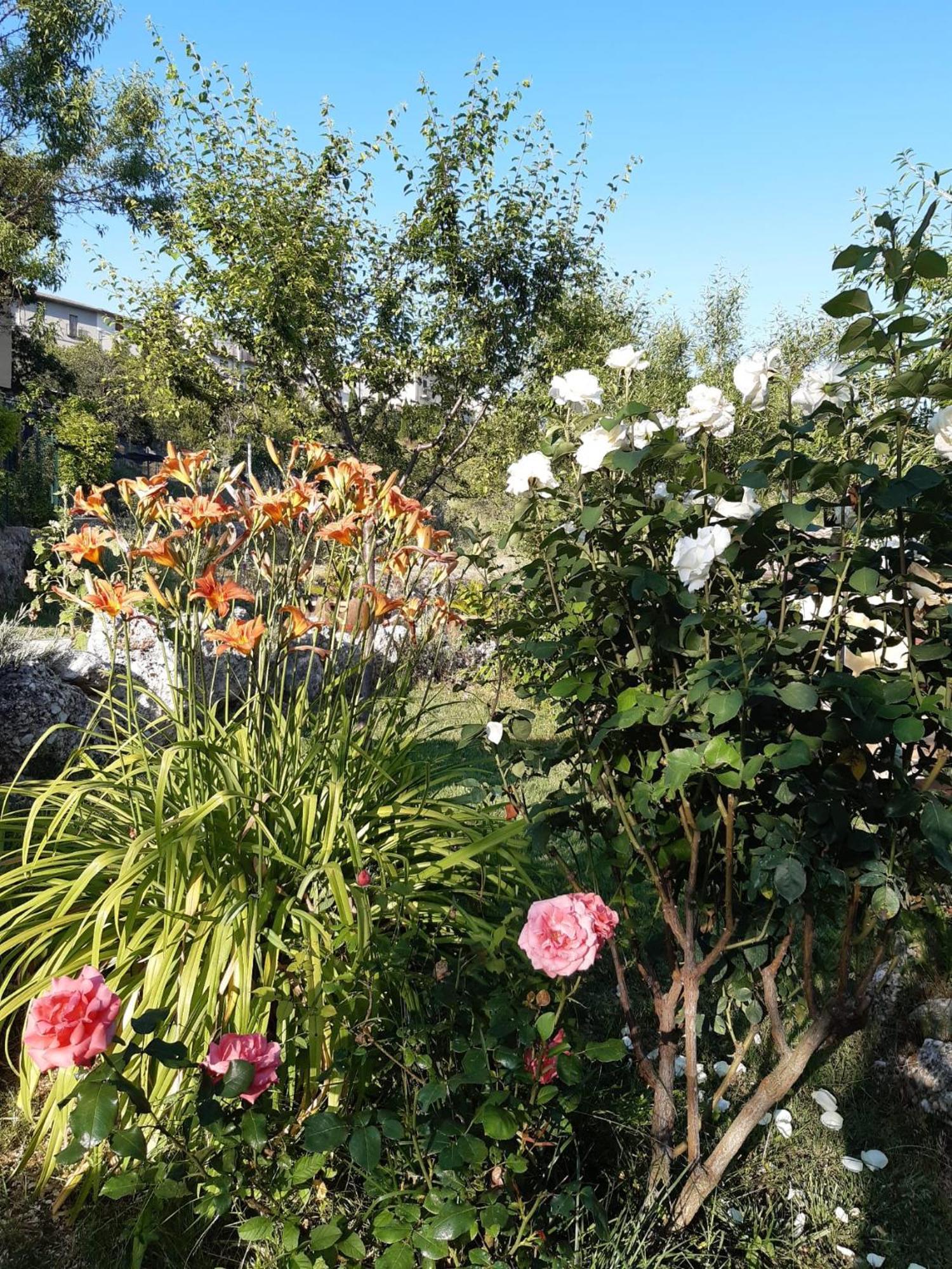 Il Girasole Bed & Breakfast Castelvecchio Calvisio Exterior photo