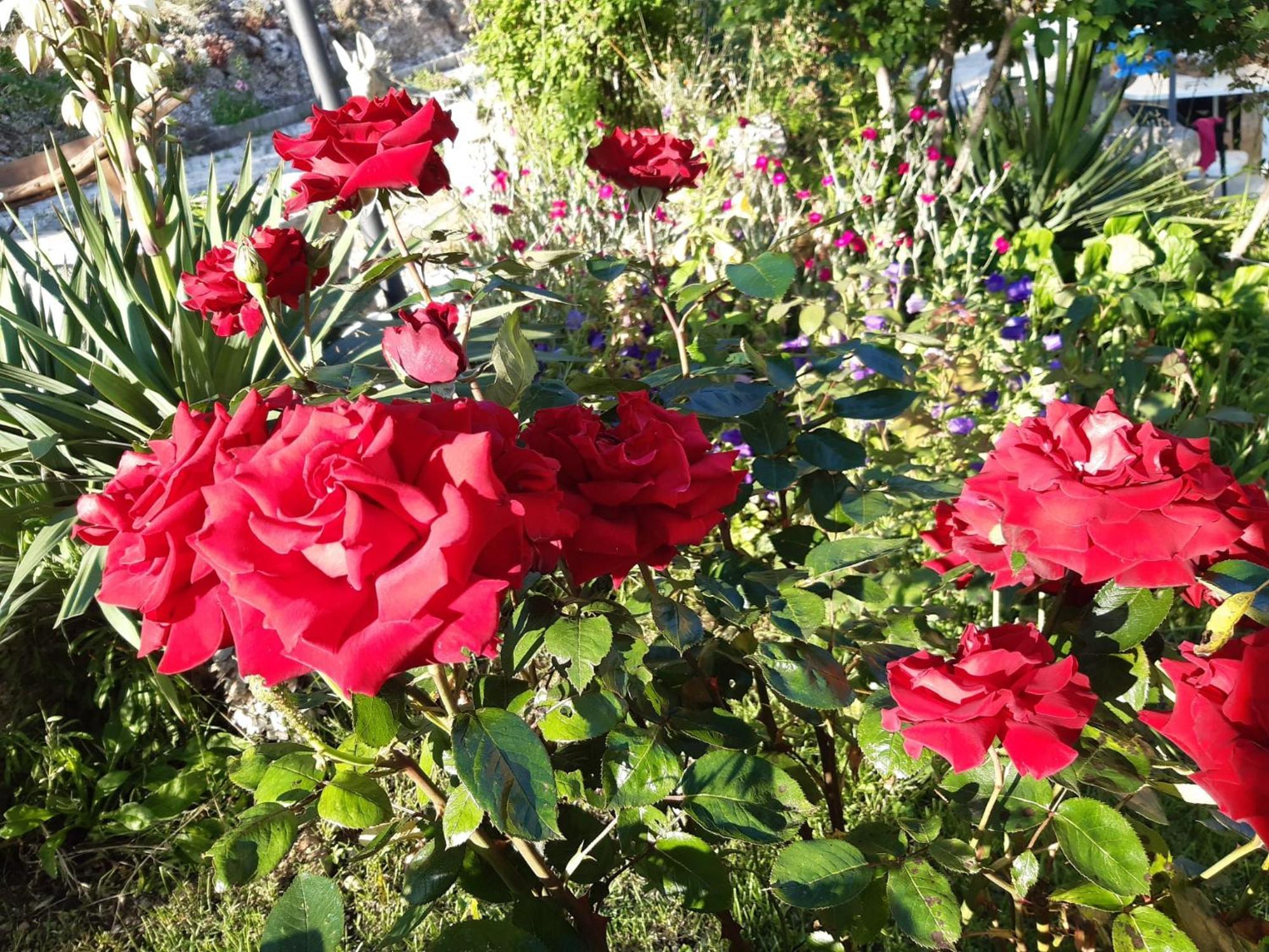 Il Girasole Bed & Breakfast Castelvecchio Calvisio Exterior photo
