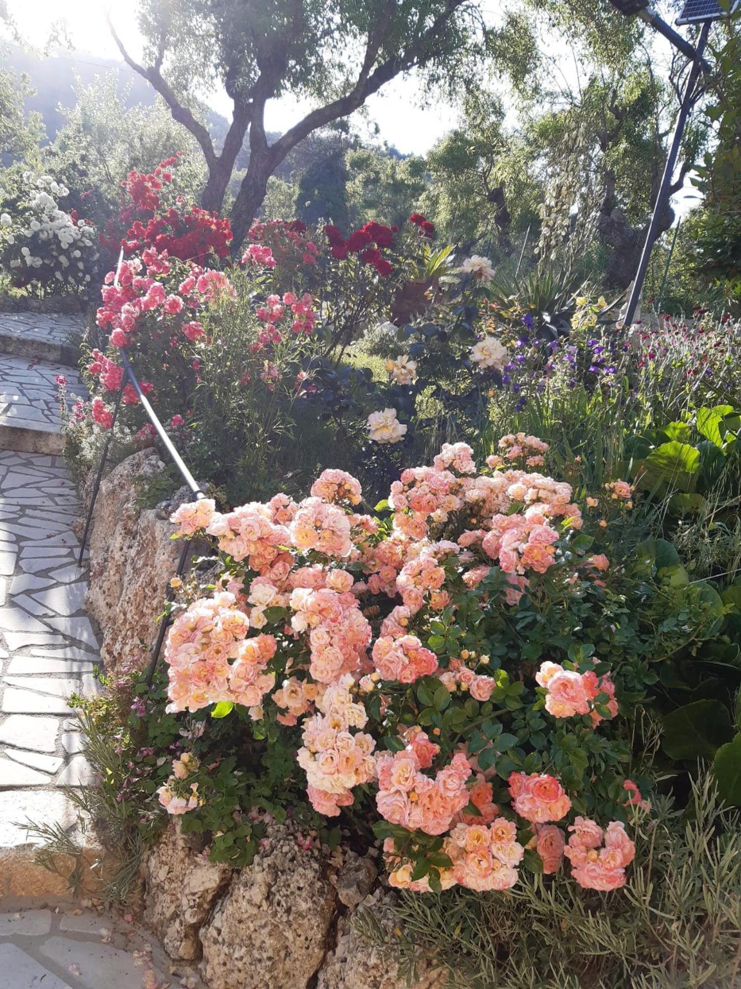 Il Girasole Bed & Breakfast Castelvecchio Calvisio Exterior photo